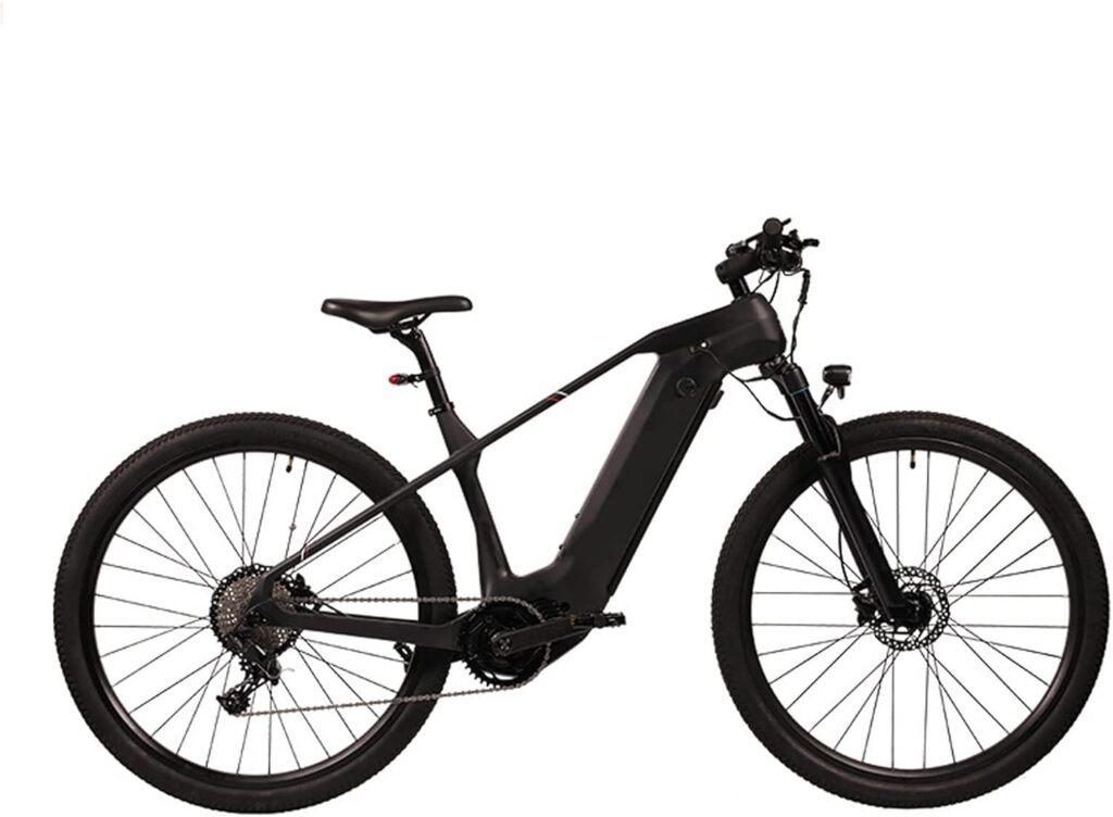 Electric Bicycles 